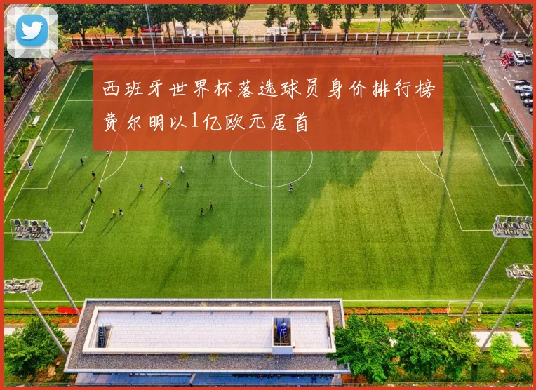 西班牙世界杯落选球员身价排行榜费尔明以1亿欧元居首